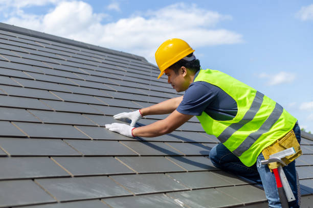 Best Roof Restoration Services  in New Haven, MI