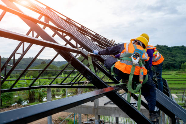 Best Storm Damage Roof Repair  in New Haven, MI