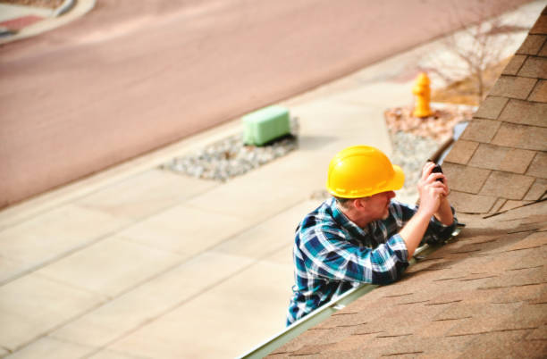 Best Roof Gutter Cleaning  in New Haven, MI